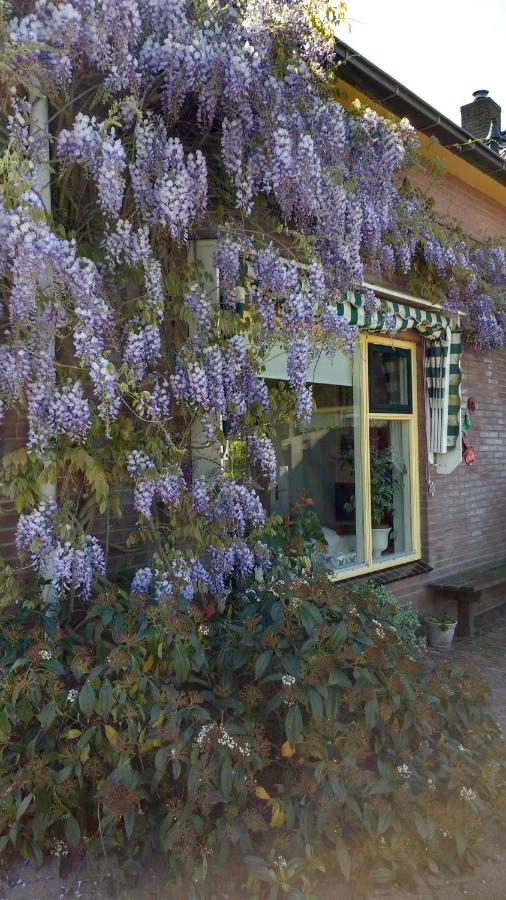 B&B De Vlinder Hardenberg Exterior photo