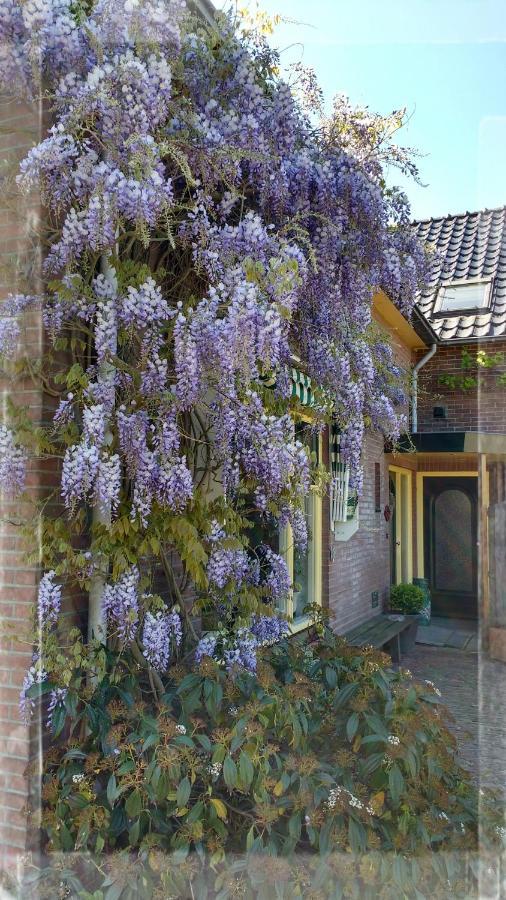 B&B De Vlinder Hardenberg Exterior photo